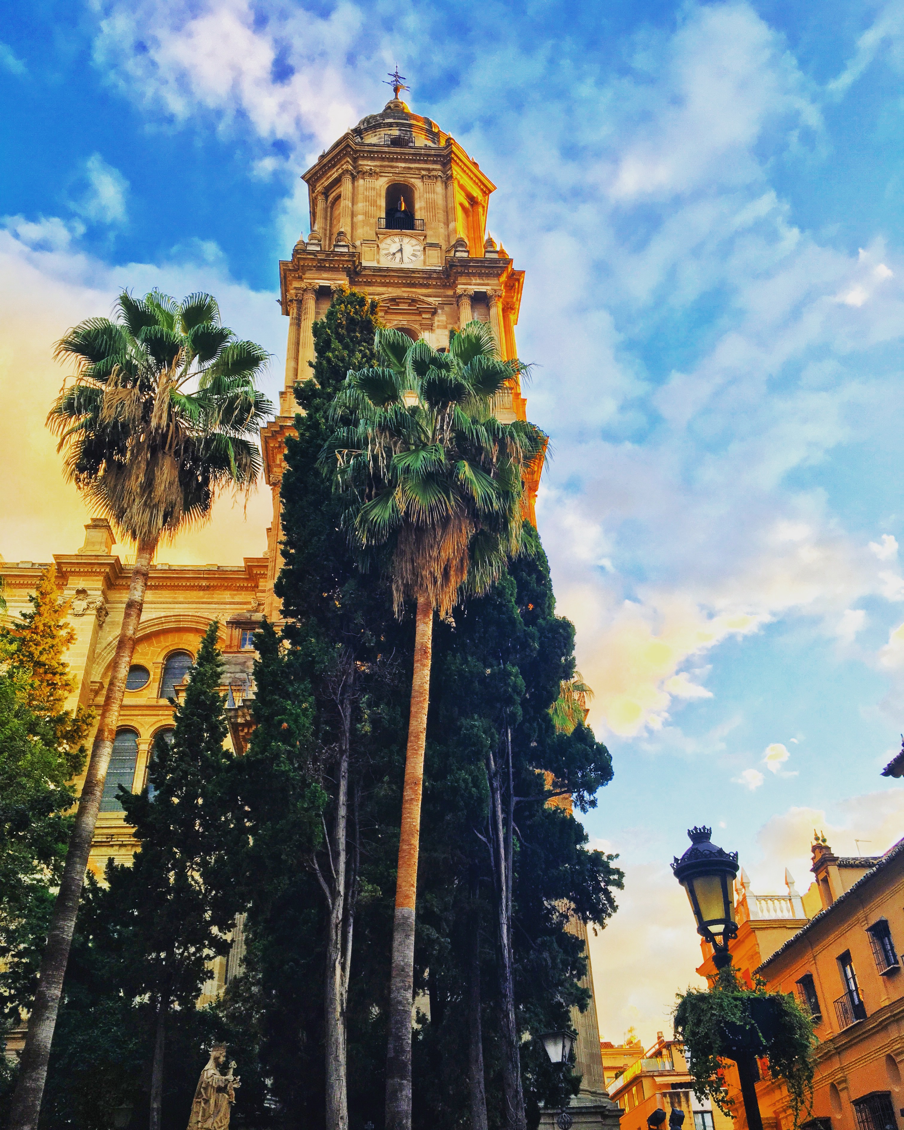 málaga, study abroad, abroad, spain, cathedral, españa, catedral, palm trees, blue sky